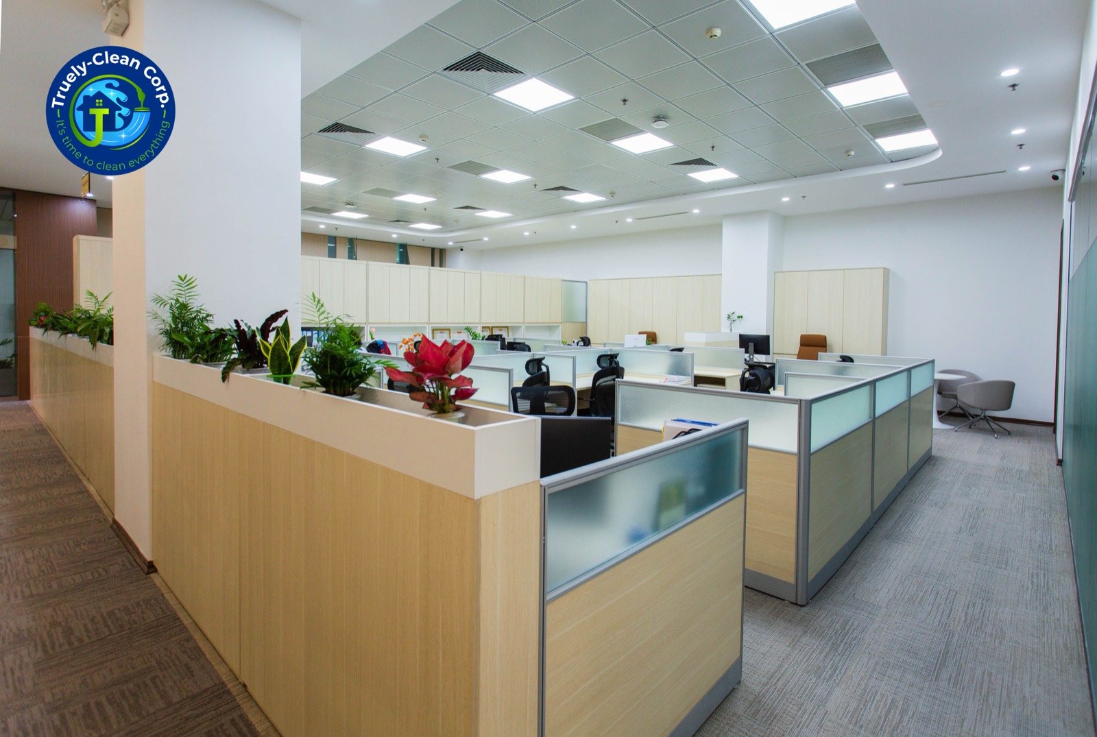 Bright open-plan office with clean workstations and healthy plants